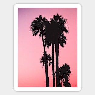 Tropical landscape palms Sticker